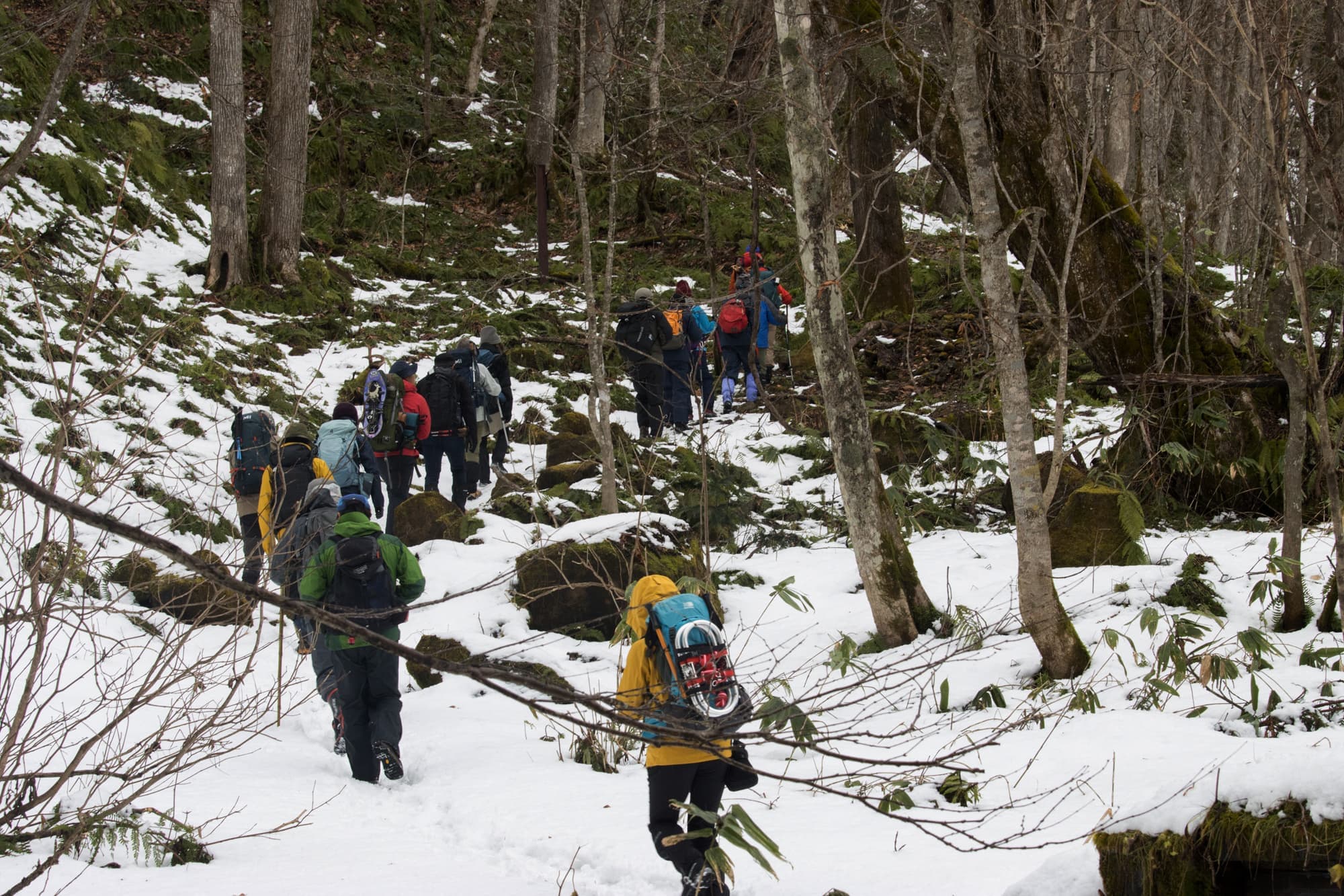 白糸の滝遊歩道