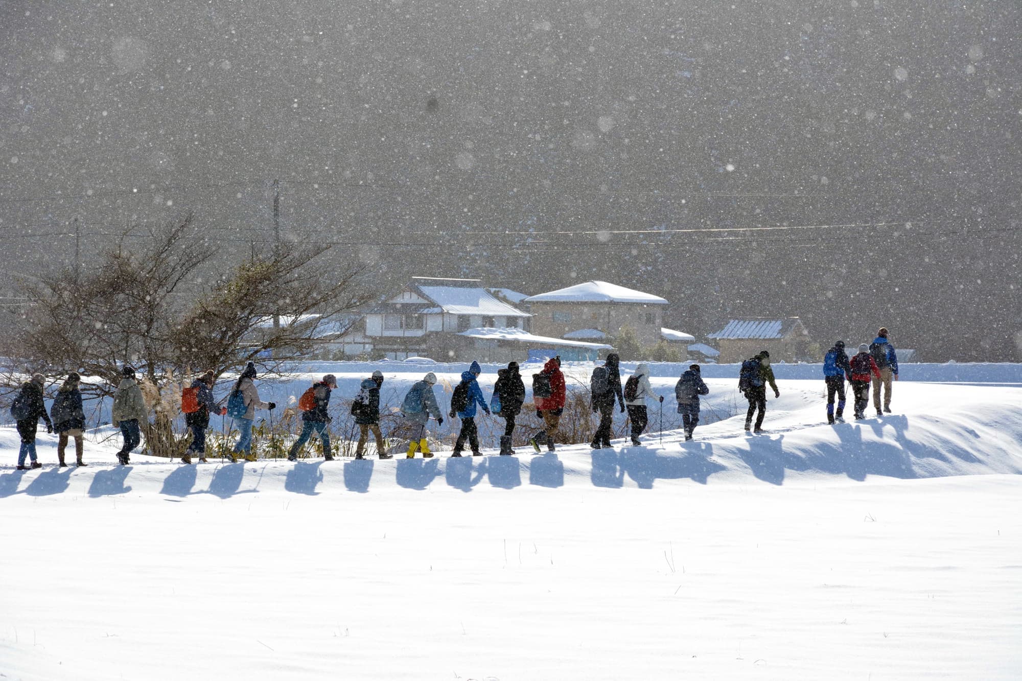 栗駒山麓ジオパークビジターセンター周辺
