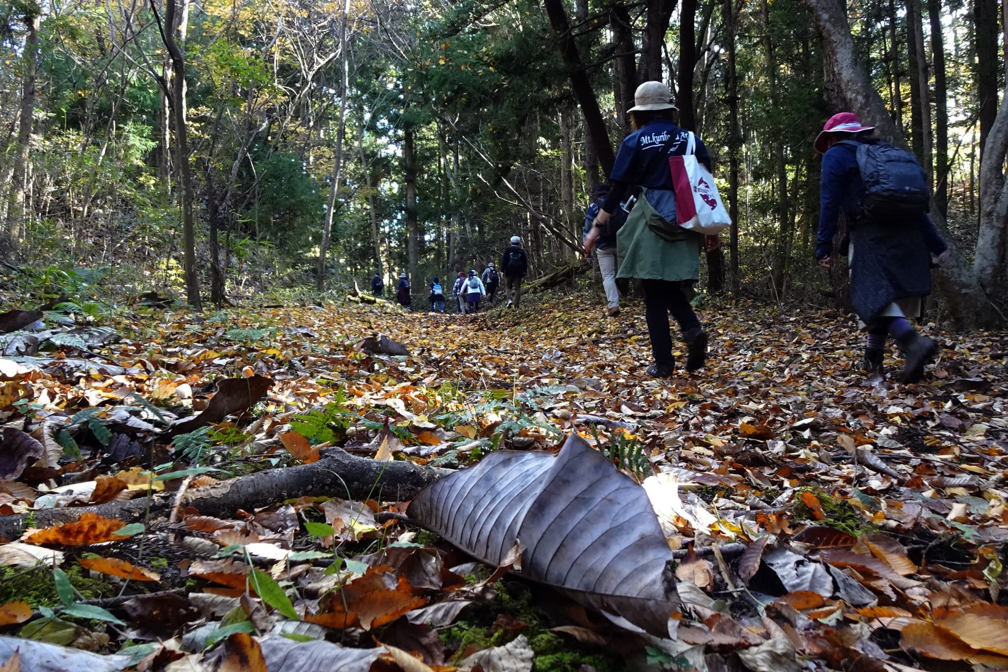 旧奥州街道　肘曲り坂～鬼死骸