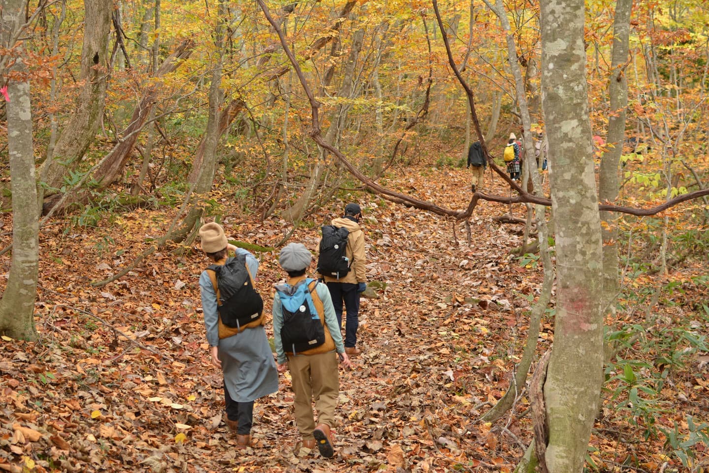世界谷地原生花園