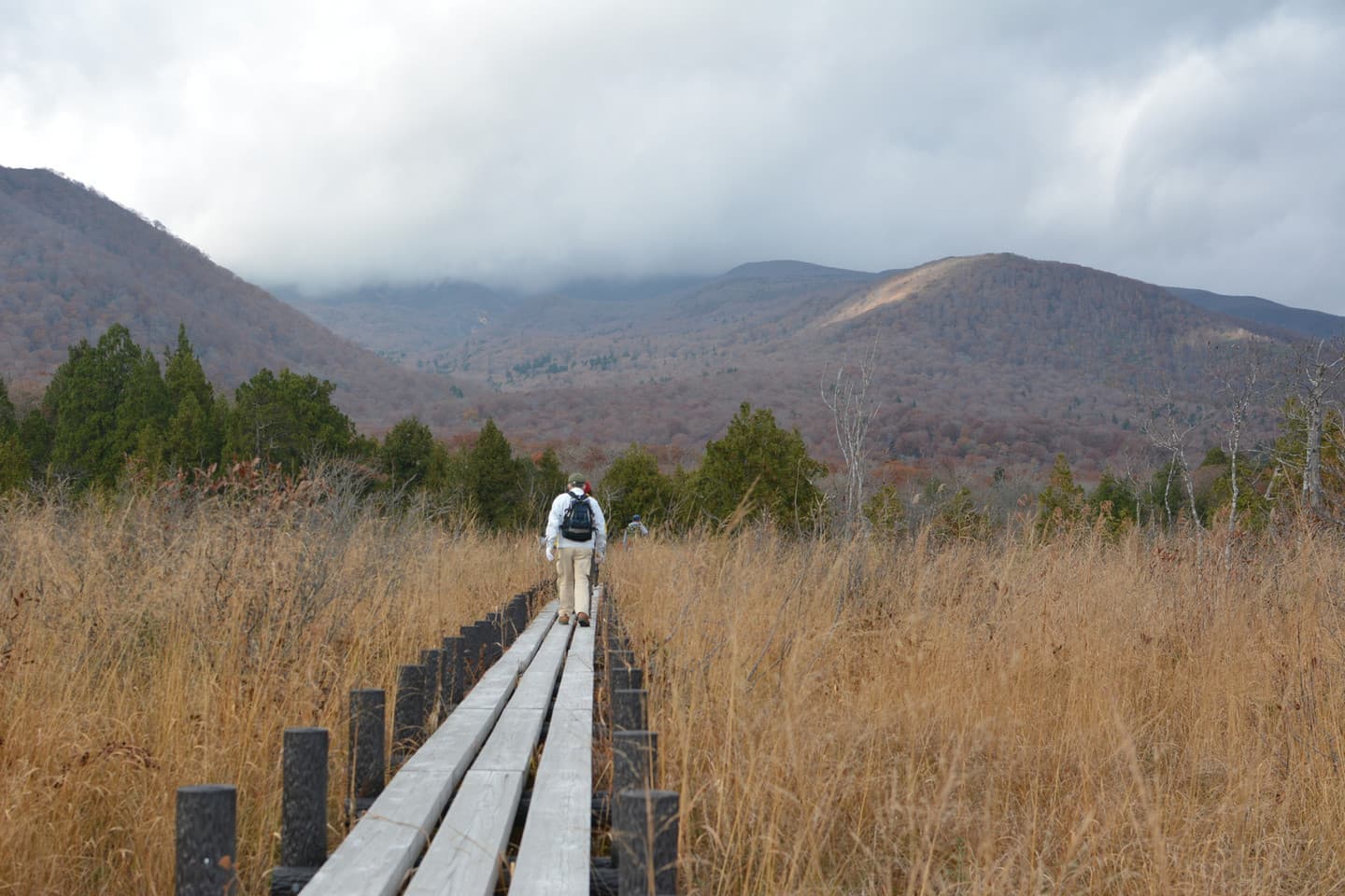 世界谷地原生花園