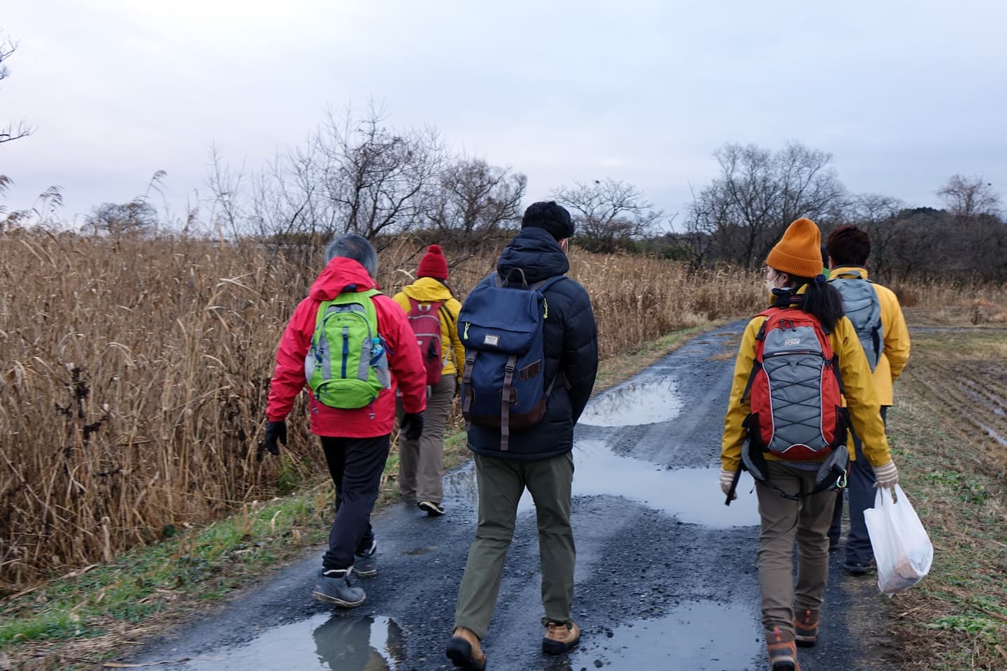 伊豆沼・内沼サンクチュアリロード