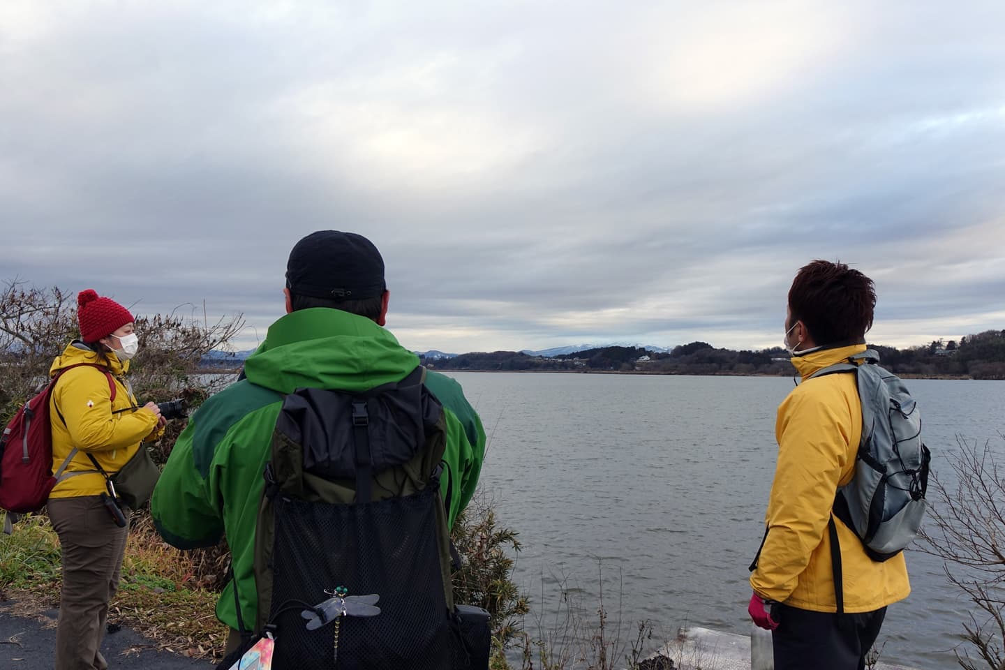 伊豆沼・内沼サンクチュアリロード