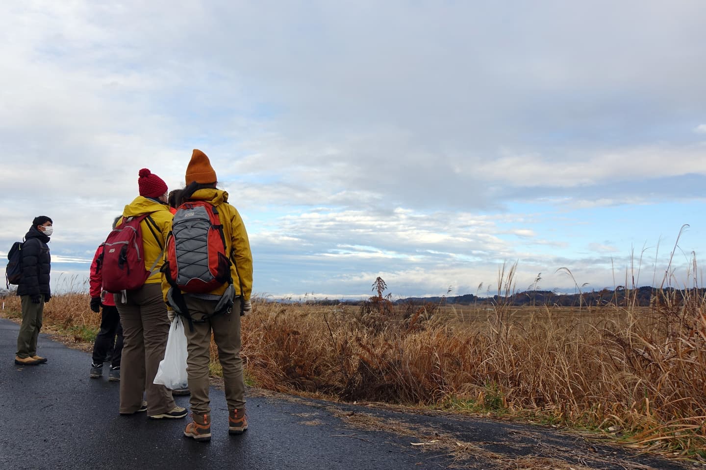 伊豆沼・内沼サンクチュアリロード