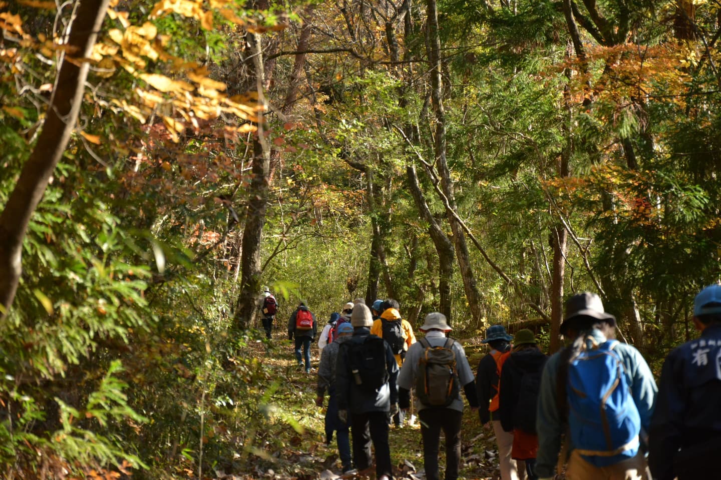 旧奥州街道有壁宿周辺