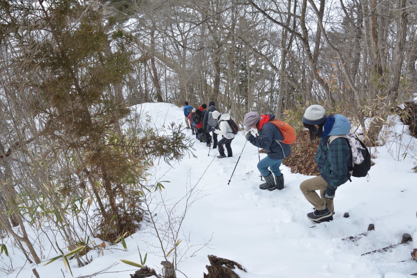 栗駒山麓ジオパークビジターセンター周辺
