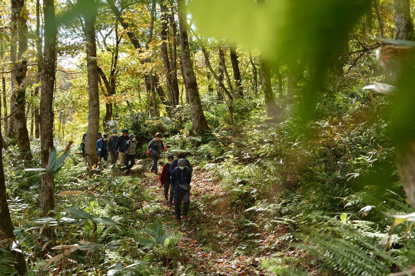 地震災害から復活した白糸の滝