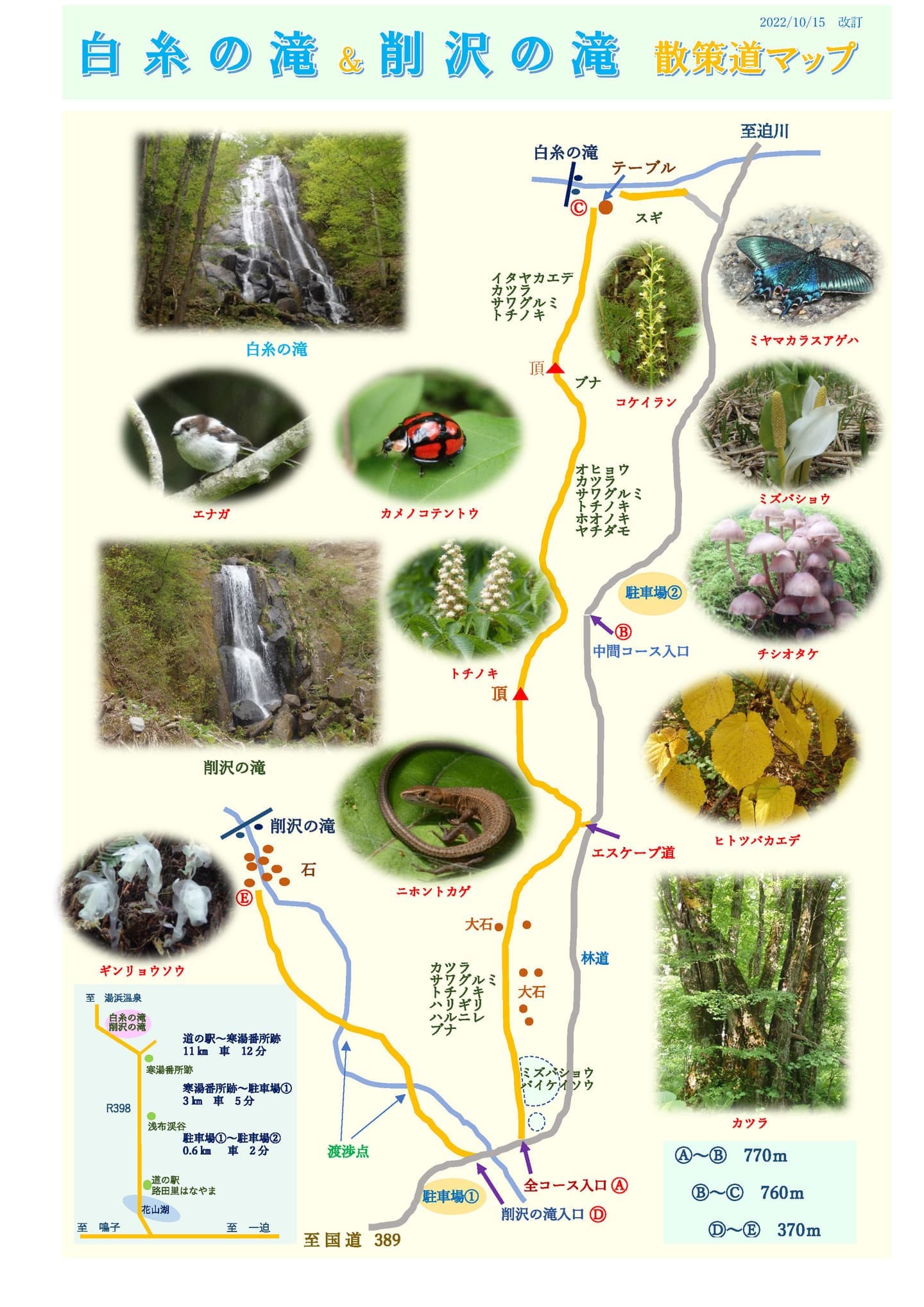 地震災害から復活した白糸の滝への道
